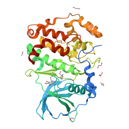 Rcsb Pdb 6hmq Structure Of Protein Kinase Ck2 Catalytic Subunit Isoform Ck2alpha Csnk2a2 Gene Product In Complex With The Benzotriazole Type Inhibitor Mb002