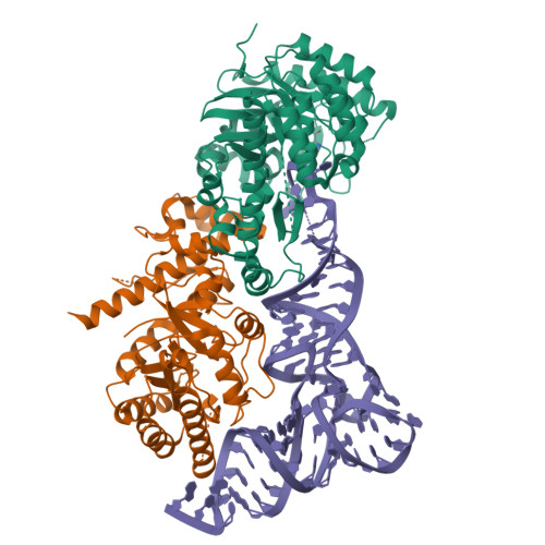 9HN9 assembly