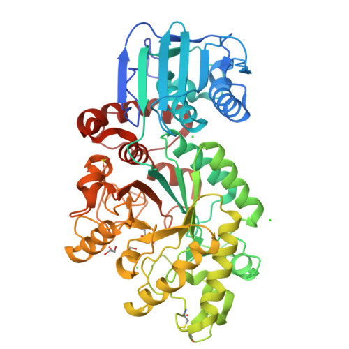 Rcsb Pdb 1hp4 Crystal Structure Of Streptomyces Plicatus Beta N Acetylhexosaminidase