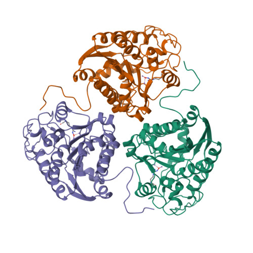 Rcsb Pdb 1hqh Crystal Structure Of The Binuclear Manganese Metalloenzyme Arginase Complexed With Nor N Hydroxy L Arginine