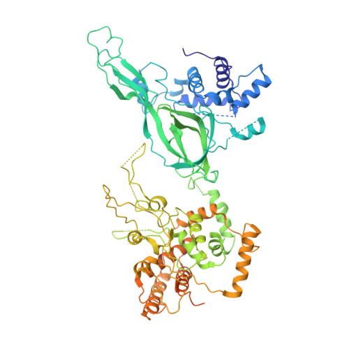 Rcsb Pdb 6hv9 S Cerevisiae Cmg Pol Epsilon Dna