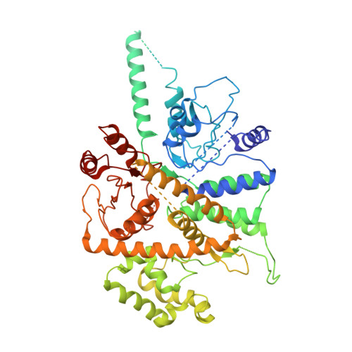 Rcsb Pdb 6hv9 S Cerevisiae Cmg Pol Epsilon Dna