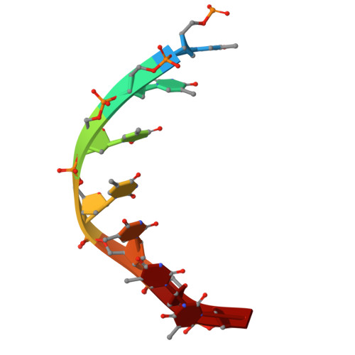 Rcsb Pdb 6hv9 S Cerevisiae Cmg Pol Epsilon Dna