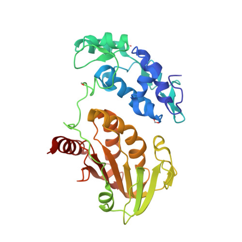 enzim proteolitik pdf