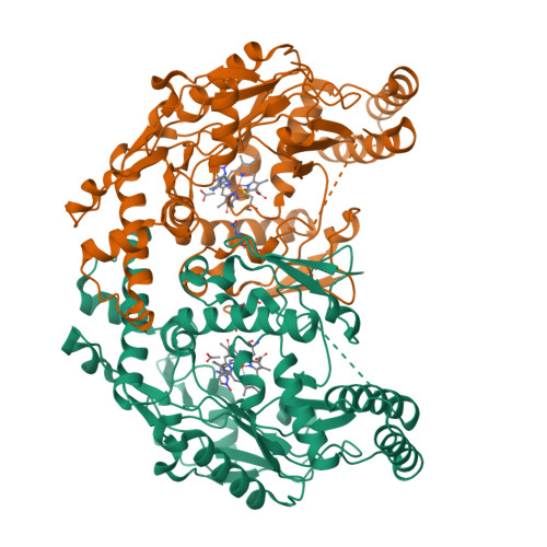 Rcsb Pdb 2hx3 Rat Nnos Heme Domain Complexed With 4s N 4 Amino 5 2 Aminoethyl Hydroxyamino Pentyl N Nitroguanidine