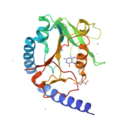 Rcsb Pdb 3hy3 Structure Of Human Mthfs With 10 Formyltetrahydrofolate