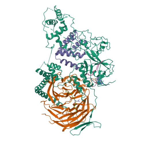 Rcsb Pdb 5hyn Structure Of Human Polycomb Repressive Complex 2 Prc2 With Oncogenic Histone H3k27m Peptide