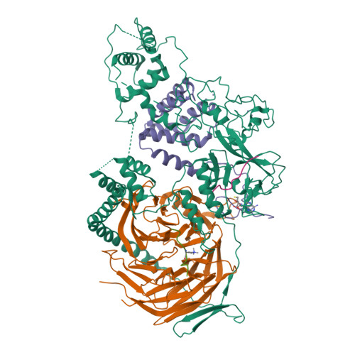 Rcsb Pdb 5hyn Structure Of Human Polycomb Repressive Complex 2 Prc2 With Oncogenic Histone H3k27m Peptide