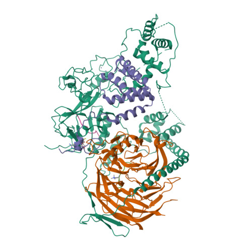 Rcsb Pdb 5hyn Structure Of Human Polycomb Repressive Complex 2 Prc2 With Oncogenic Histone H3k27m Peptide