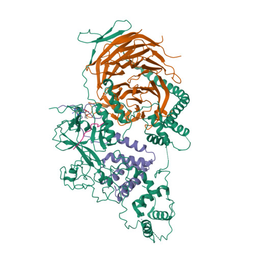 Rcsb Pdb 5hyn Structure Of Human Polycomb Repressive Complex 2 Prc2 With Oncogenic Histone H3k27m Peptide