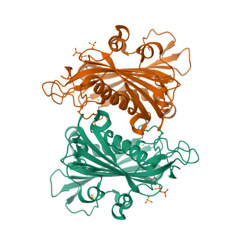 Rcsb Pdb 4hzp The Structure Of The Bifunctional Acetyltransferase Decarboxylase Lnmk From The Leinamycin Biosynthetic Pathway Revealing Novel Activity For A Double Hot Dog Fold