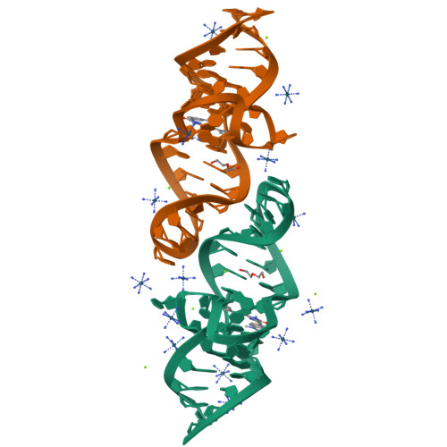 RNA Structure Atlas