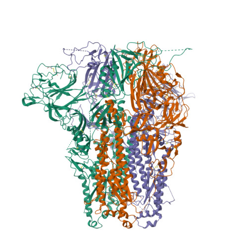 Rcsb Pdb 5i08 Prefusion Structure Of A Human Coronavirus Spike