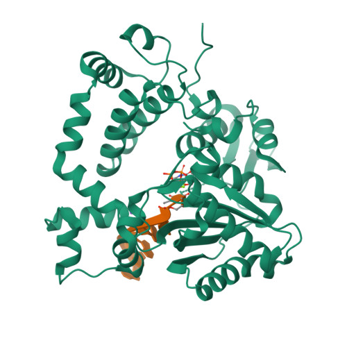 Rcsb Pdb 4i27 Ternary Complex Of Mouse Tdt With Ssdna And Incoming Nucleotide