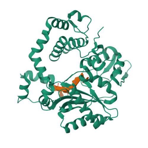 Rcsb Pdb 4i29 Binary Complex Of Mouse Tdt With Ssdna And Mn