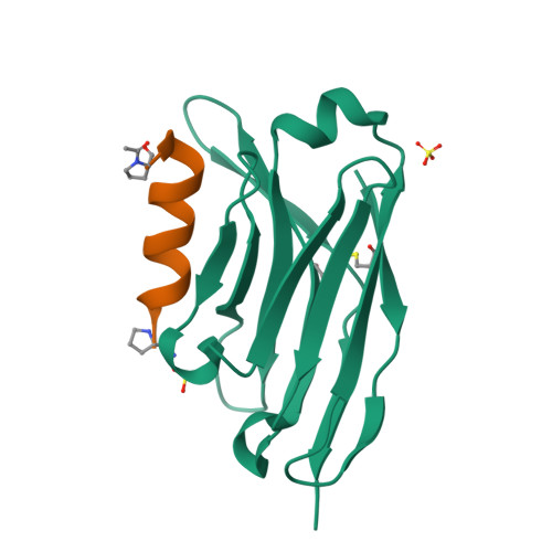 Rcsb Pdb 6i2g Alfa Tag Binding Nanobody Nbalfa Bound To Alfa Tag Peptide<script async src=
