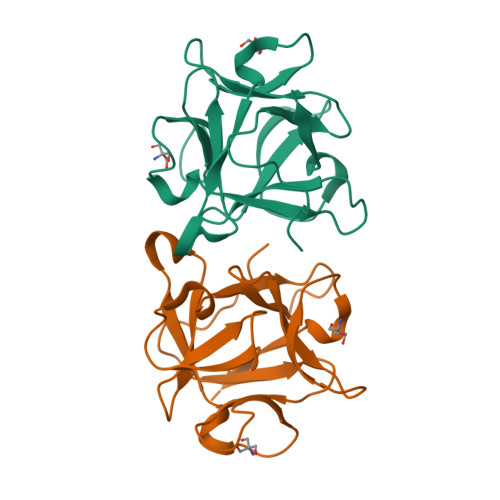 Rcsb Pdb 4i4r Bel Beta Trefoil Apo Crystal Form 4