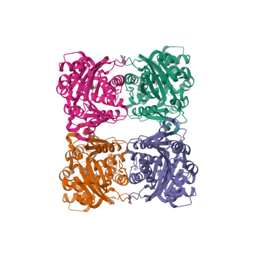 2I6A logo