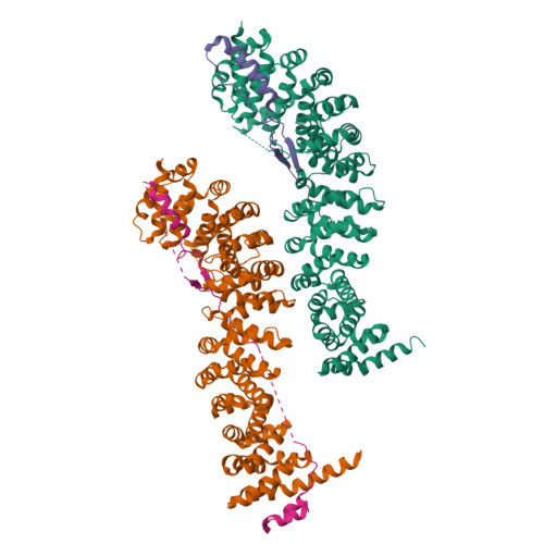 Rcsb Pdb 1i7x Beta Catenin E Cadherin Complex