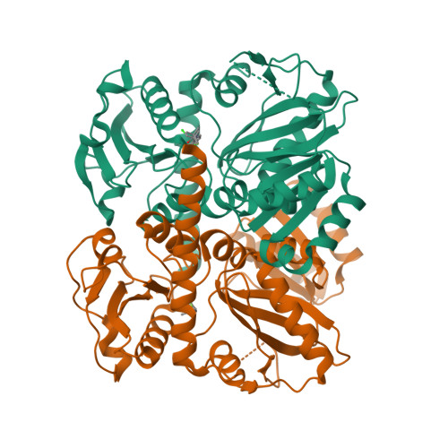 Protein Data Bank: 2I80