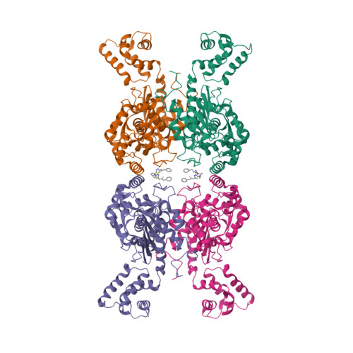 Rcsb Pdb 5i94 Crystal Structure Of Human Glutaminase C In Complex With The Inhibitor Upgl