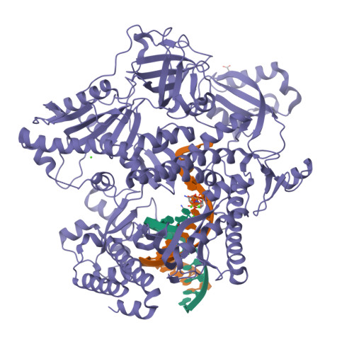 Rcsb Pdb 3iay Ternary Complex Of Dna Polymerase Delta