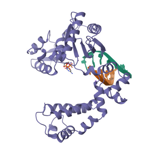 Rcsb Pdb 9ics Dna Polymerase Beta E C 2 7 7 7 Dna Complex 2 3 Dideoxycytidine 5 Triphosphate Soaked In The Presence Of Ddctp And Mncl2