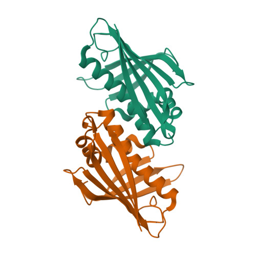 Rcsb Pdb 1ifv Crystal Structure Of Pathogenesis Related Protein Llpr10 1b From Yellow Lupine