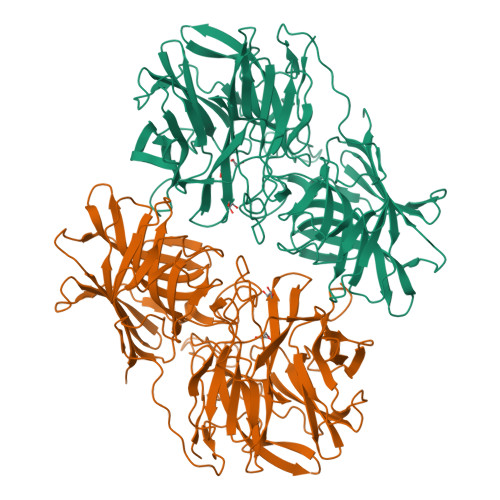 Rcsb Pdb 6ife A Glycoside Hydrolase Family 43 Beta Xylosidase