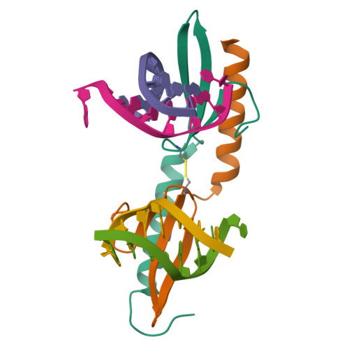 Rcsb Pdb 3igm A 2 2a Crystal Structure Of The Ap2 Domain Of Pf14 0633 From P Falciparum Bound As A Domain Swapped Dimer To Its Cognate Dna