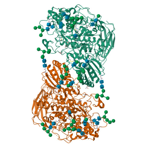 Rcsb Pdb 4iib Crystal Structure Of Beta Glucosidase 1 From Aspergillus Aculeatus