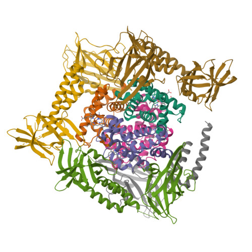 Protein Data Bank: 4IJ2
