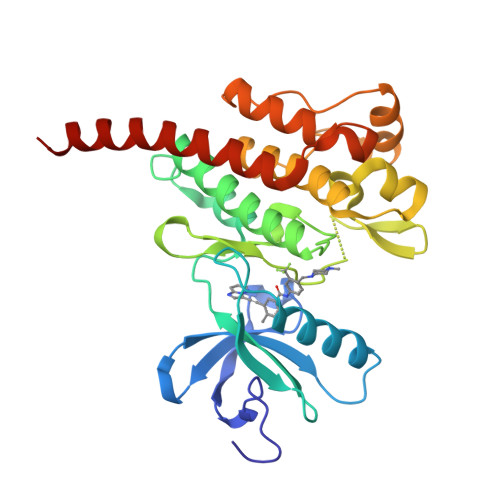 Rcsb Pdb 3ik3 Ap24534 A Pan Bcr Abl Inhibitor For Chronic Myeloid Leukemia Potently Inhibits The T315i Mutant And Overcomes Mutation Based Resistance