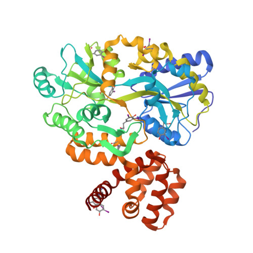 Rcsb Pdb 4ikm X Ray Structure Of Card8 Card Domain