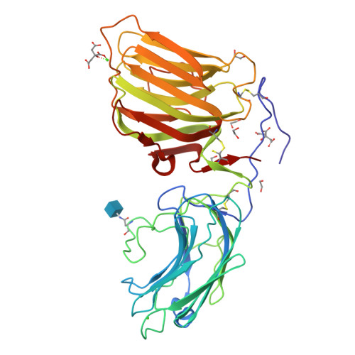 Rcsb Pdb 5ik8 Laminin lg45 I Form G6 7 Bound