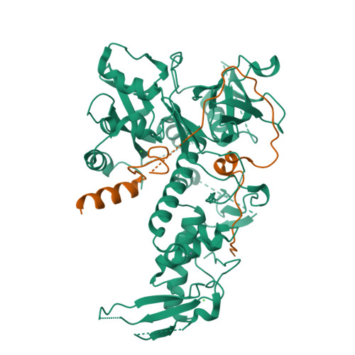 Rcsb Pdb 5ikj Structure Of Clr2 Bound To The Clr1 C Terminus