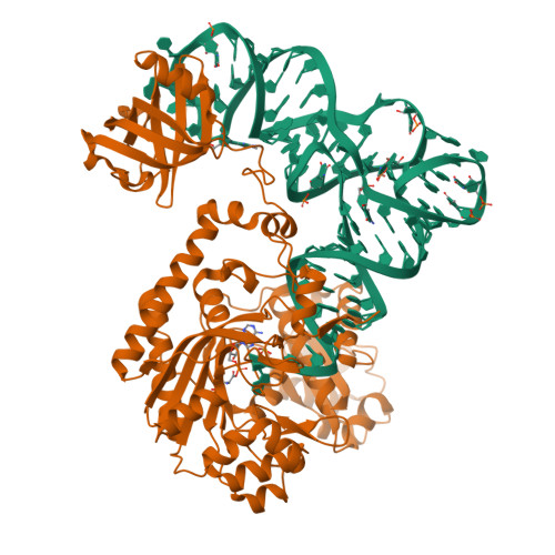 1IL2 assembly