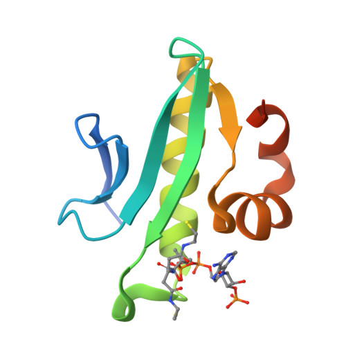 Rcsb Pdb 2il4 Crystal Structure Of At1g77540 Coenzyme A Complex