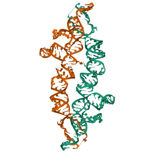 2IL9 assembly