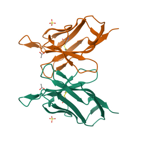 Rcsb Pdb 2imn Refined Crystal Structure Of A Recombinant Immunoglobulin Domain And A Complementarity Determining Region 1 Grafted Mutant