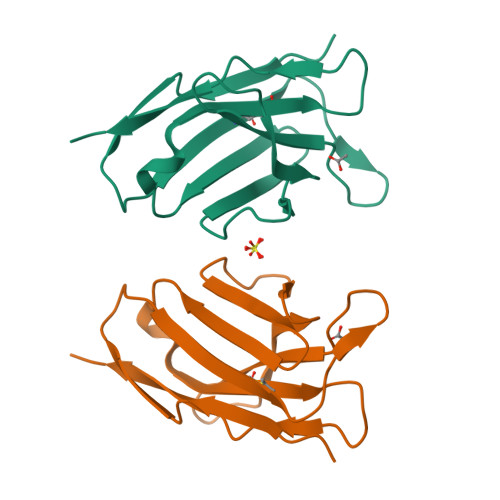 Rcsb Pdb 2imn Refined Crystal Structure Of A Recombinant Immunoglobulin Domain And A Complementarity Determining Region 1 Grafted Mutant