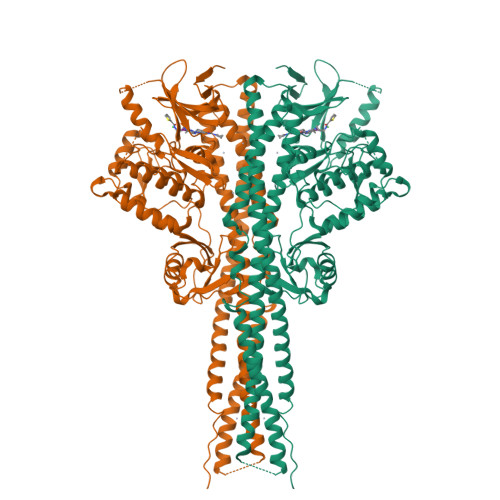 Rcsb Pdb 4im3 Structure Of Tank Binding Kinase 1