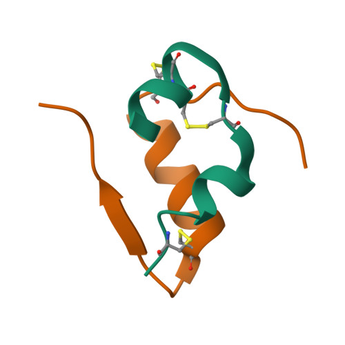 Insulin protein structure