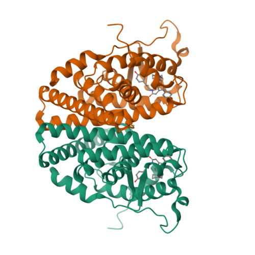 Rcsb Pdb 2iog Human Estrogen Receptor Alpha Ligand Binding Domain In Complex With Compound 11f