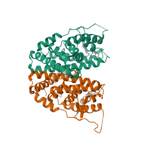 Rcsb Pdb 2iok Human Estrogen Receptor Alpha Ligand Binding Domain In Complex With Compound 1d