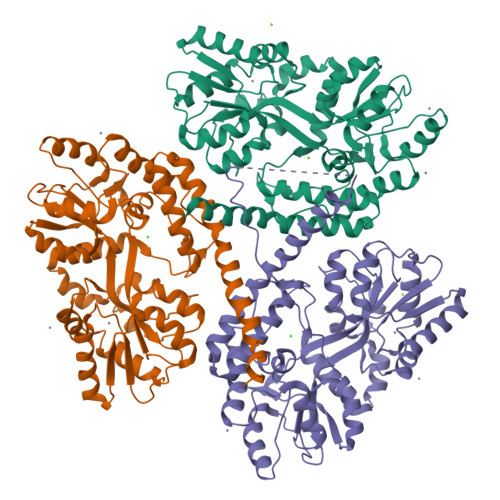 Rcsb Pdb 3iot Huntingtin Amino Terminal Region With 17 Gln Residues Crystal C92 B