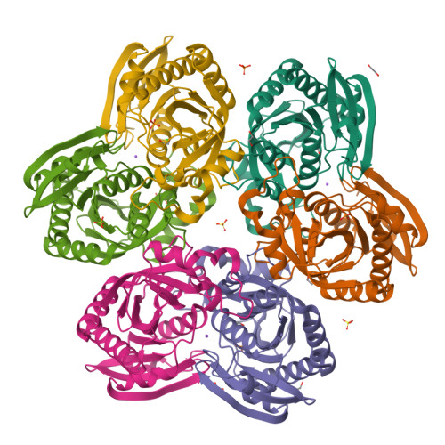 Rcsb Pdb 4ip0 X Ray Structure Of The Complex Uridine Phosphorylase From Vibrio Cholerae With Phosphate Ion At 1 29 A Resolution