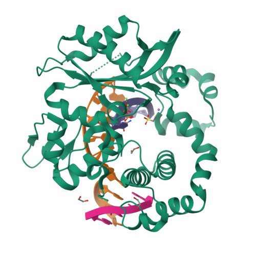 rcsb pdb