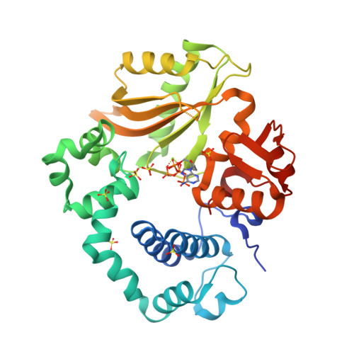 Rcsb Pdb 6ipl Binary Complex Of Human Dna Polymerase Mu With Mgdatp