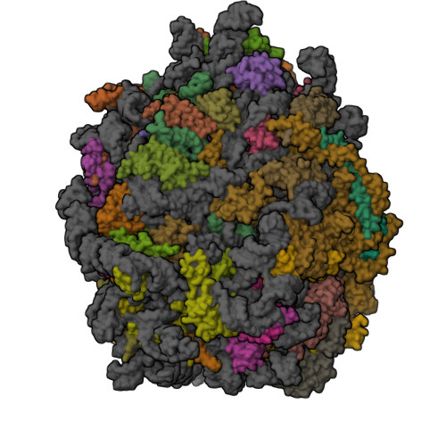 8IPD assembly
